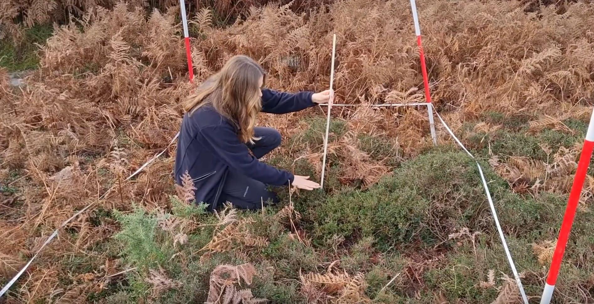 Vegetation and Surveying