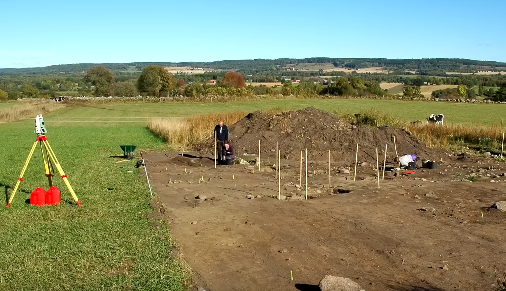 Surveys Due To Fence Or Stakes