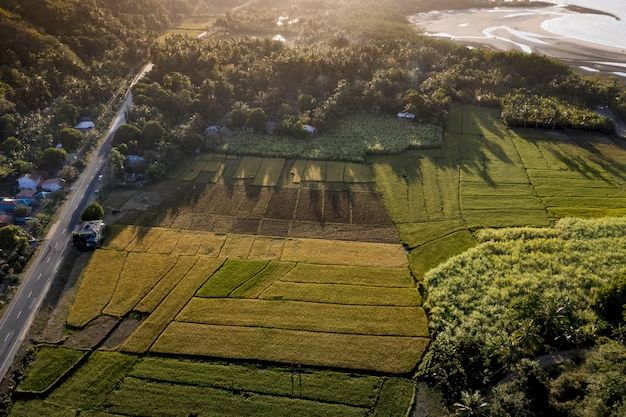 Agricultural land